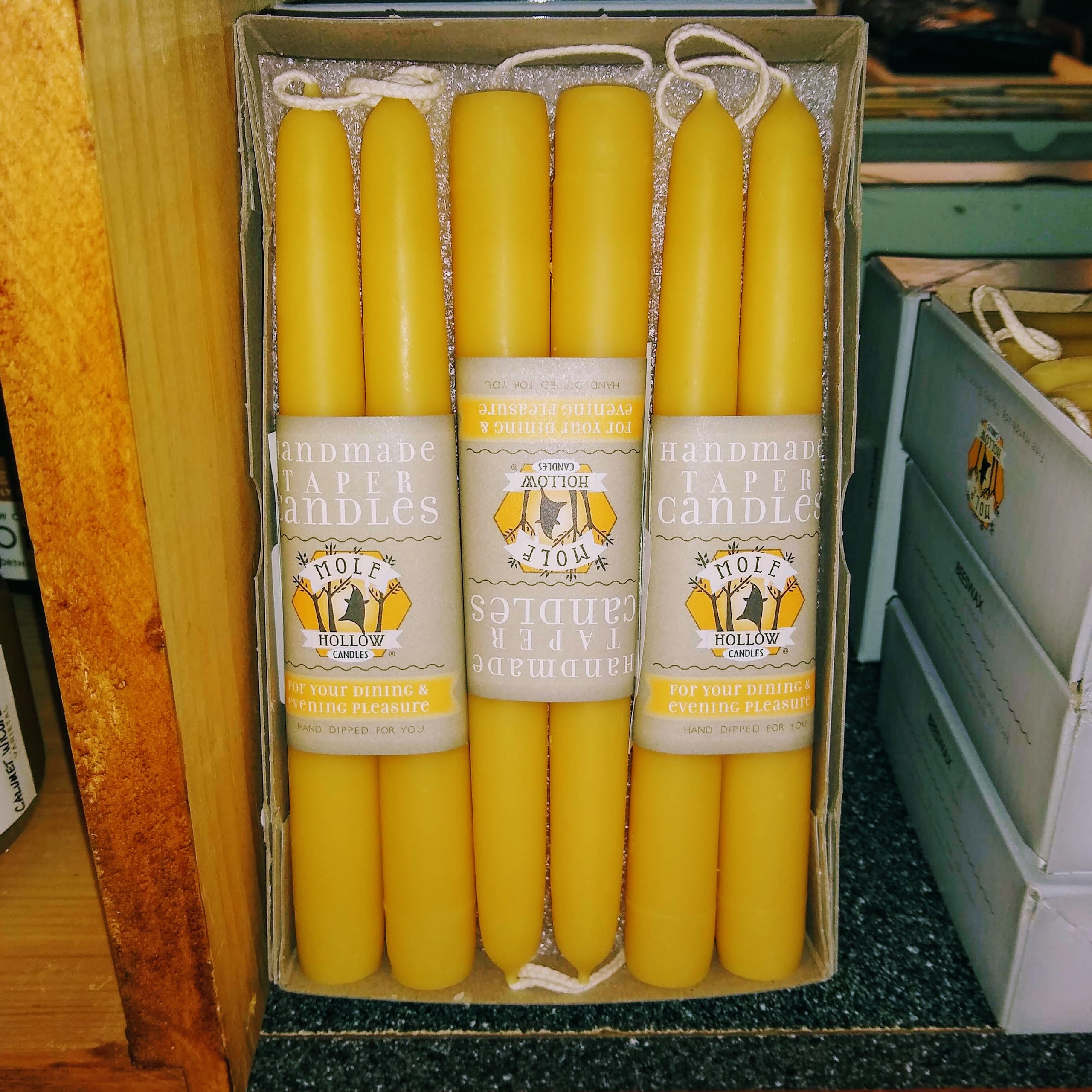 Mole Hollow 8 Inch Beeswax Candle Pair  THE HIVE: CHICAGO'S BEEKEEPING  SUPPLY STORE